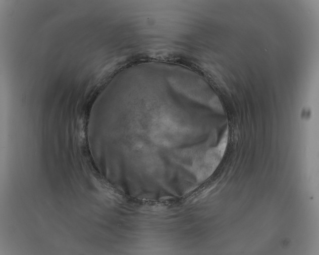 X0000090931106200708201822