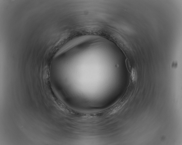 X0000090931107200708201822