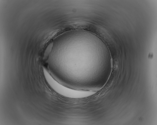 X0000090931108200708201822