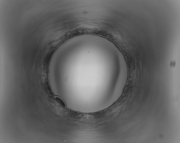 X0000090931109200708201822