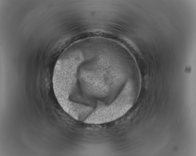 X0000090931111200708201822