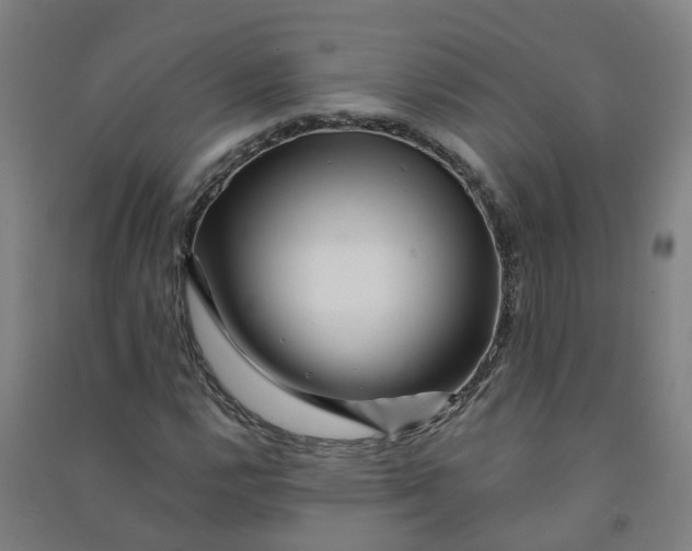 X0000090931112200708201822