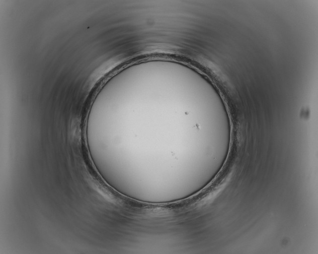 X0000090931113200708201822