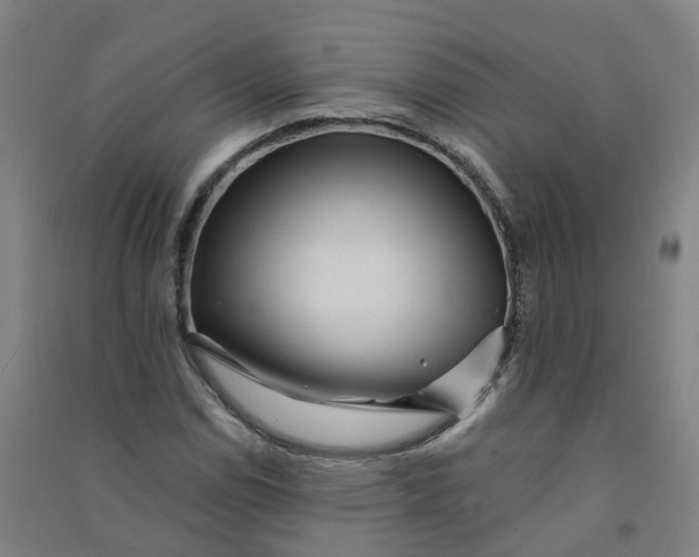 X0000090931114200708201822