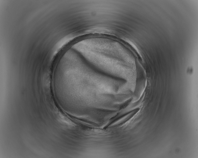 X0000090931115200708201822