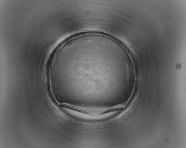 X0000090931118200708201822