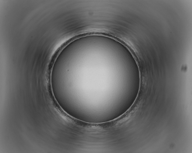 X0000090931119200708201822