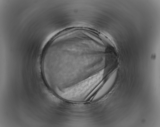 X0000090931120200708201822