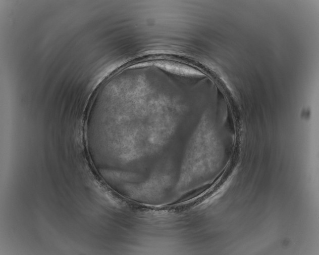 X0000090931121200708201822