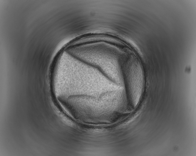 X0000090931122200708201822