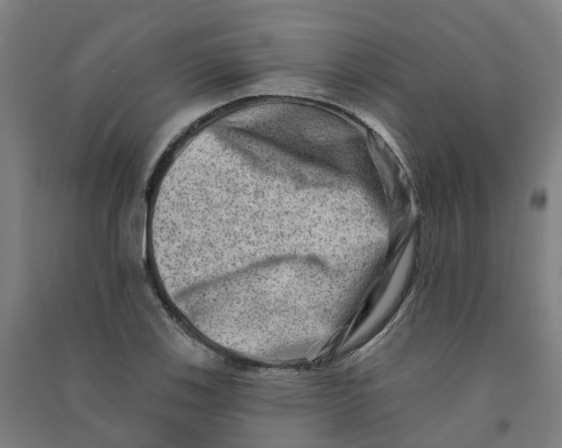 X0000090931123200708201822