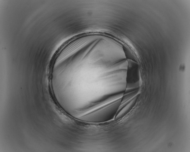 X0000090931124200708201822