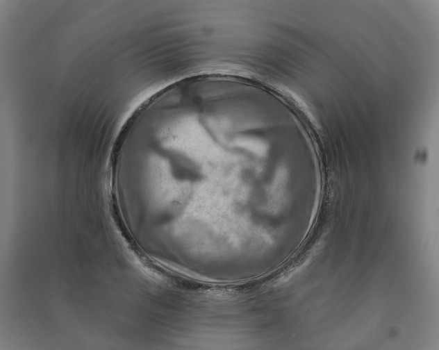 X0000090931125200708201822