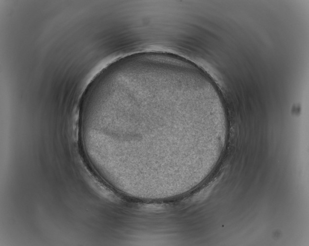 X0000090931126200708201822