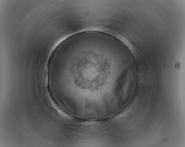 X0000090931127200708201822