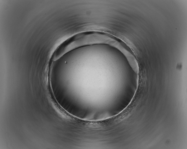 X0000090931128200708201822