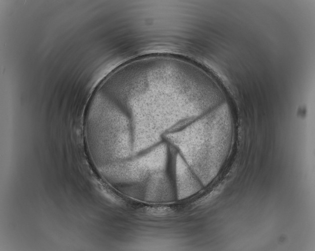 X0000090931129200708201822