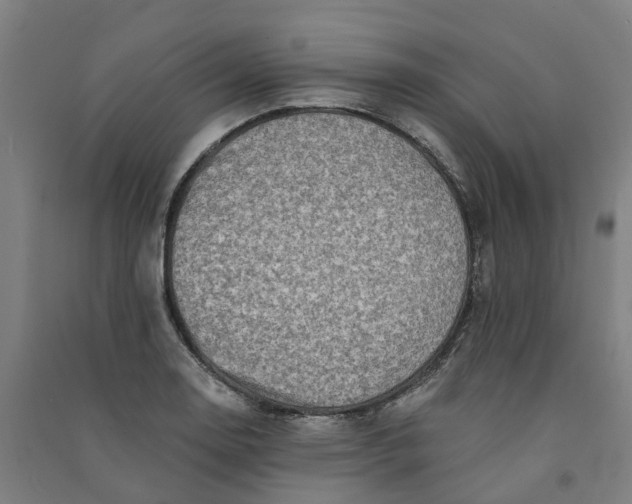 X0000090931130200708201822