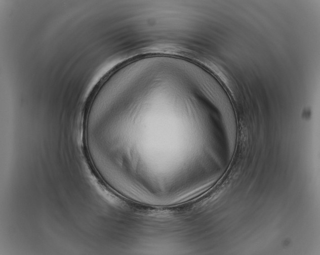 X0000090931131200708201822