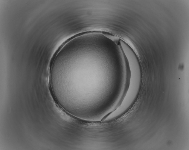 X0000090931132200708201822