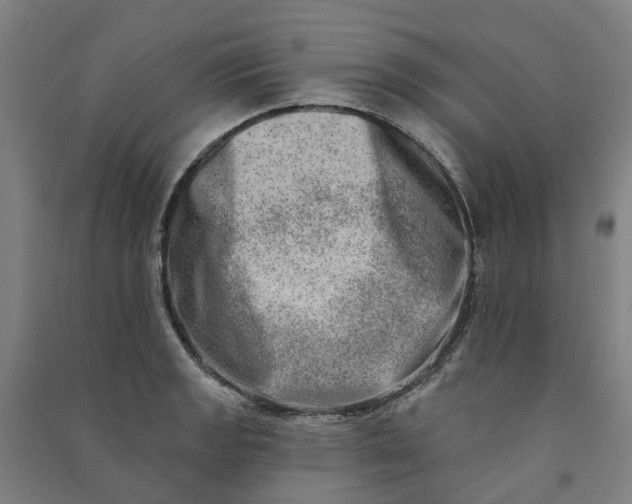 X0000090931133200708201822