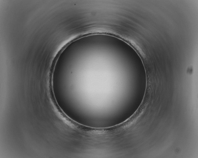 X0000090931134200708201822