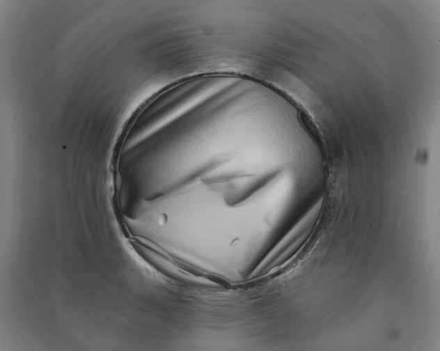 X0000090931135200708201822