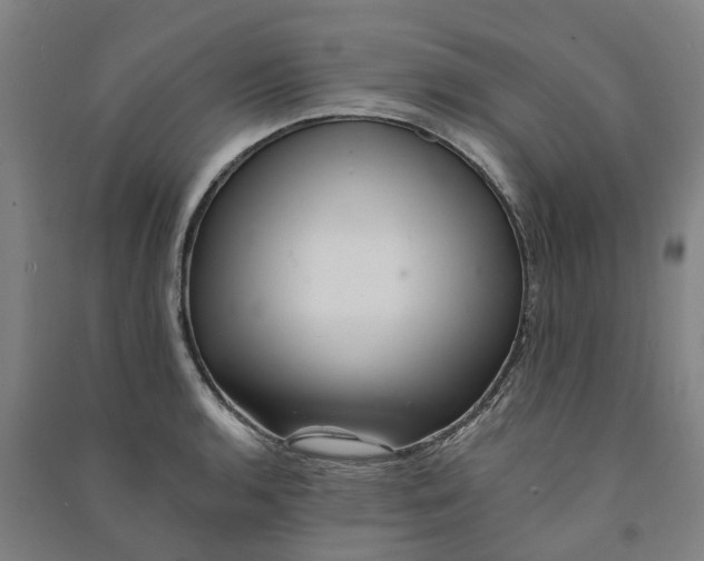 X0000090931136200708201822