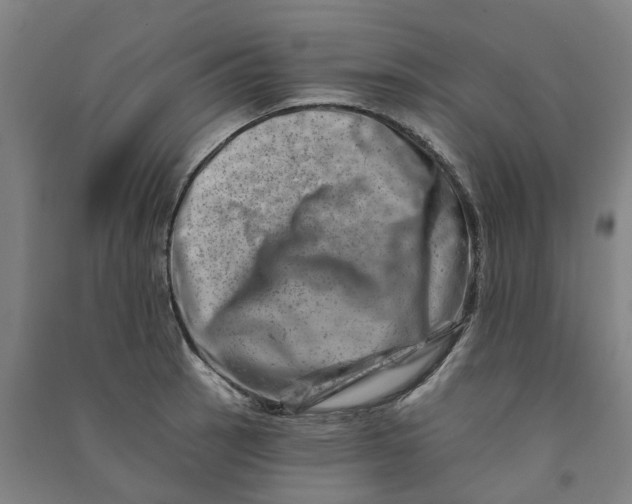 X0000090931137200708201822