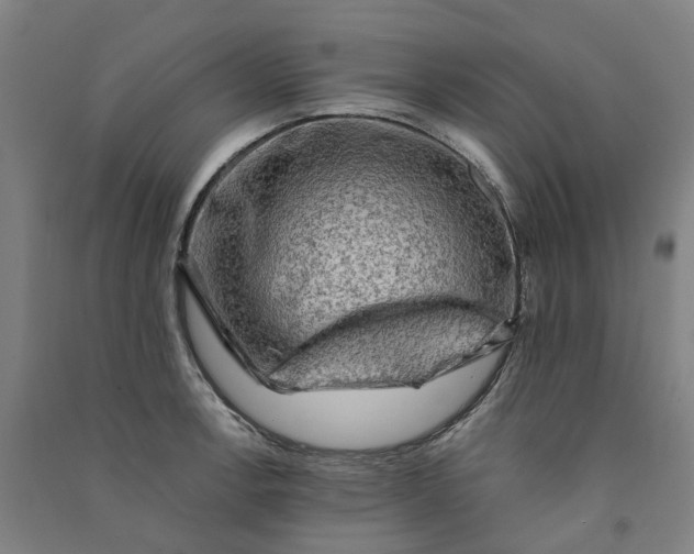 X0000090931138200708201822