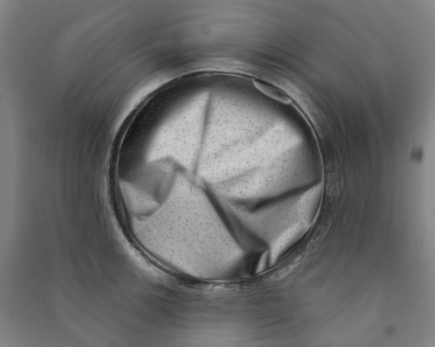 X0000090931139200708201822