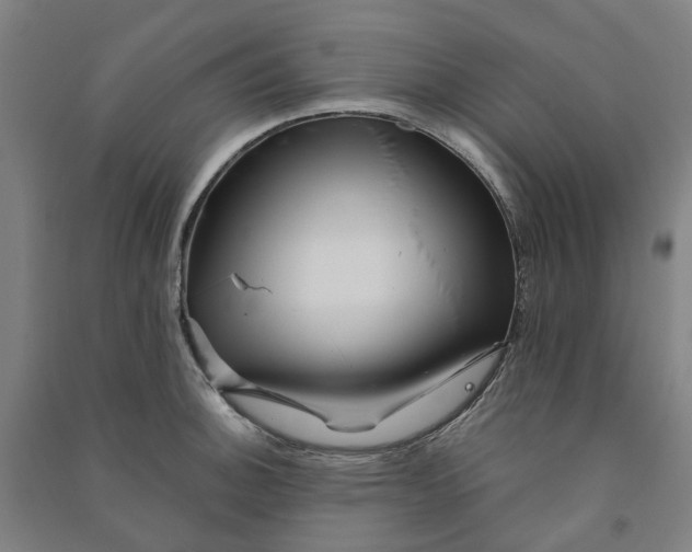 X0000090931140200708201822