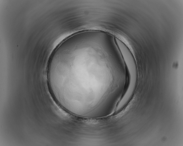 X0000090931141200708201822