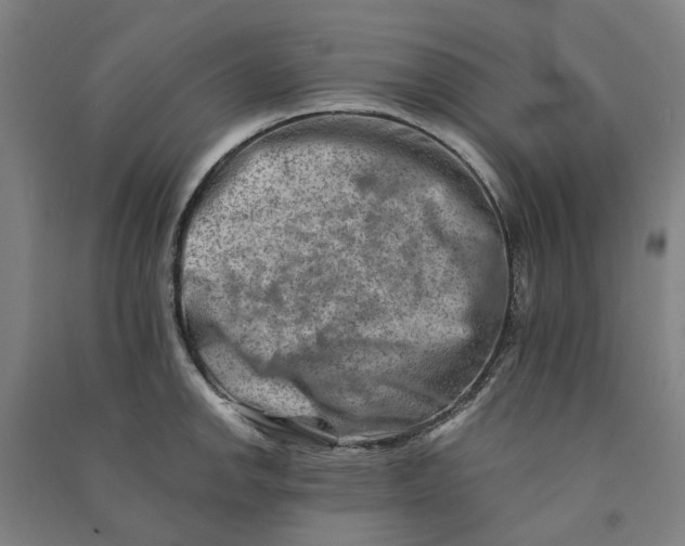 X0000090931142200708201822