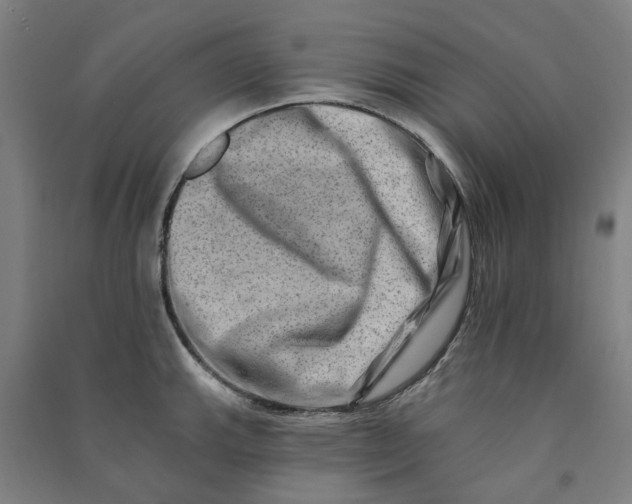 X0000090931143200708201822