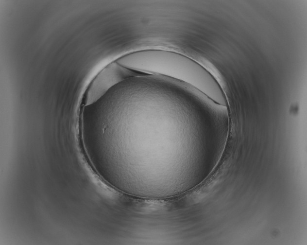 X0000090931144200708201822