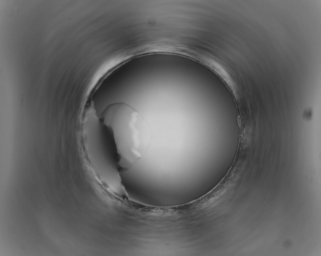 X0000090931146200708201822