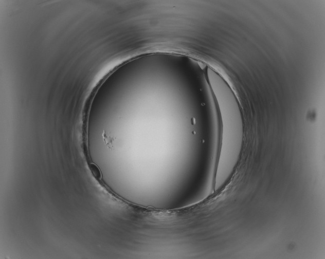 X0000090931147200708201822