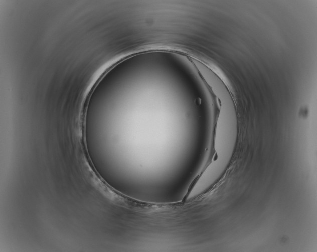 X0000090931148200708201822