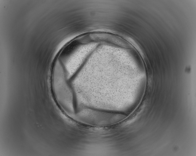 X0000090931149200708201822