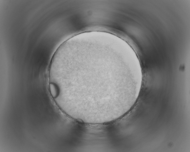 X0000090931150200708201822