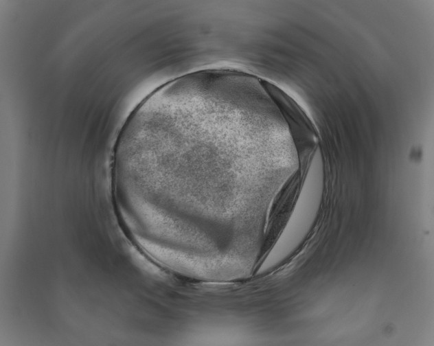 X0000090931151200708201822