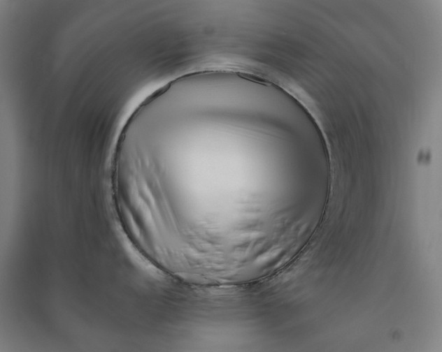 X0000090931152200708201822