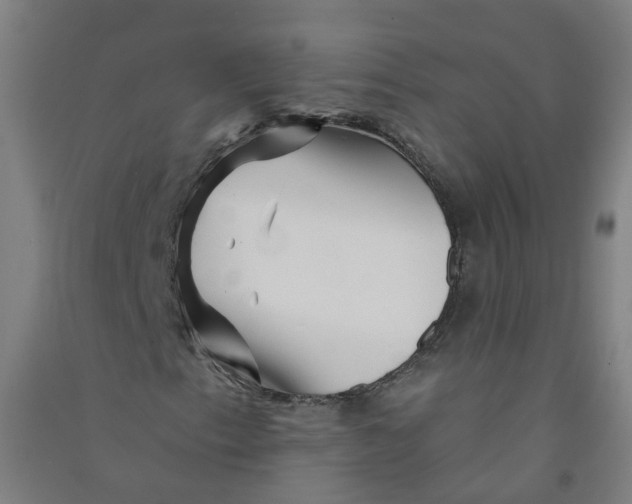 X0000090931153200708201822