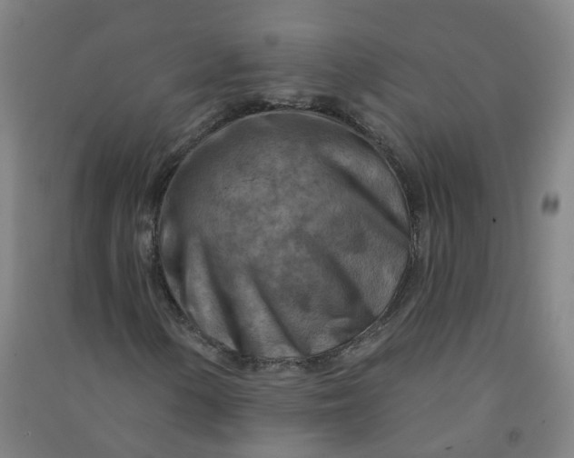 X0000090931154200708201822