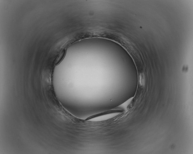 X0000090931155200708201822