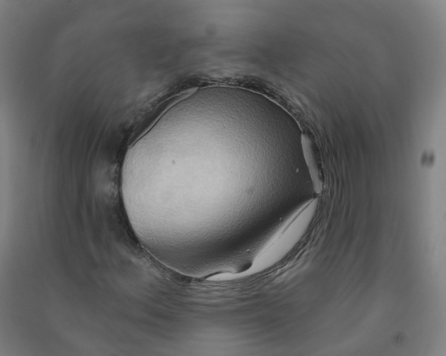 X0000090931156200708201822