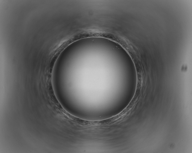 X0000090931157200708201822