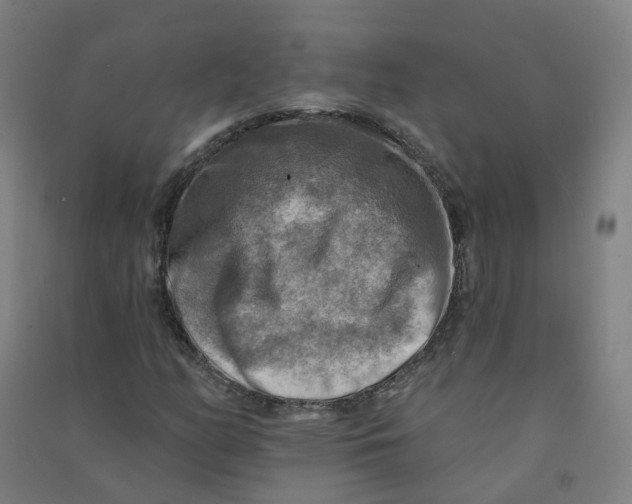 X0000090931158200708201822