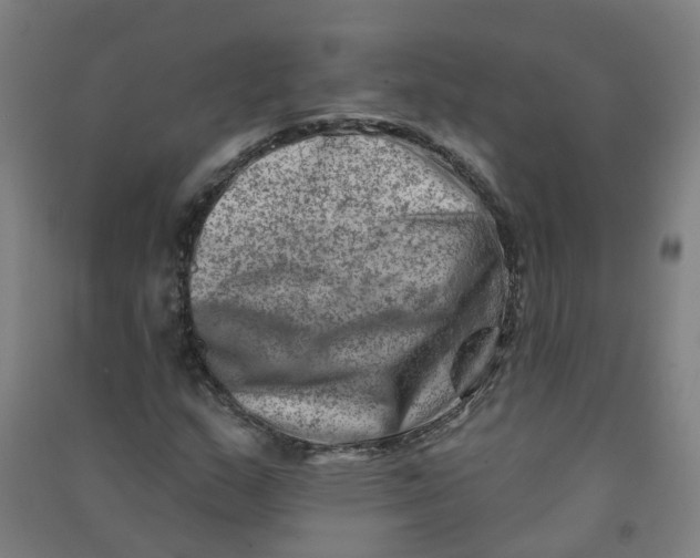 X0000090931159200708201822